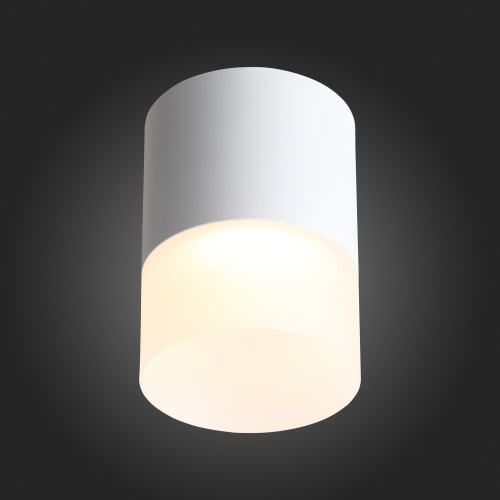 ST100.502.15 Светильник потолочный Белый LED 1*15W 3000K 1 170Lm Ra&gt;80 120° D118xH150 170-240V Накладные светильники