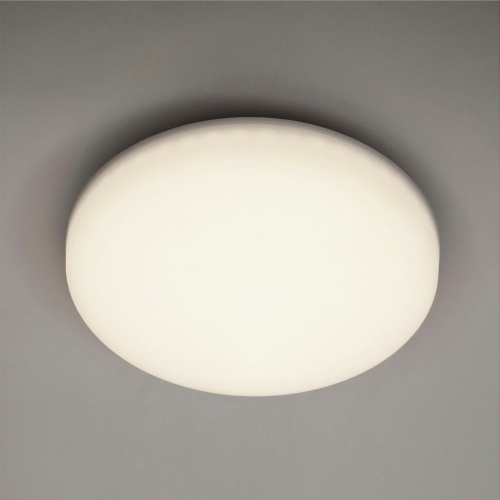 Потолочный светильник LEDtrec 317-24W круг