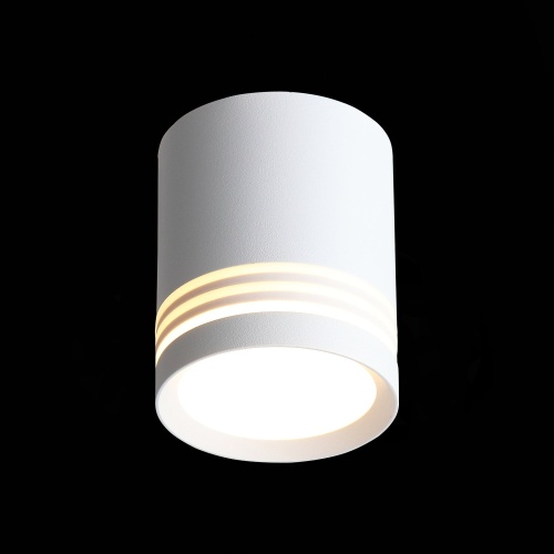 ST101.542.05 Светильник потолочный Белый LED 1*5W 4000K 390Lm Ra&gt;80 120° IP20 D68xH80 170-240V Накладные светильники