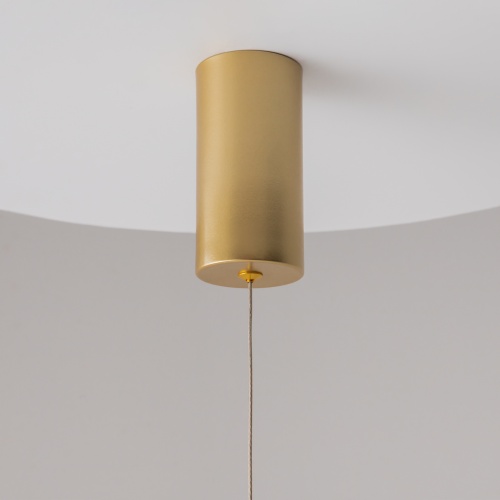Подвесной светильник Maytoni P022PL-L20G3K