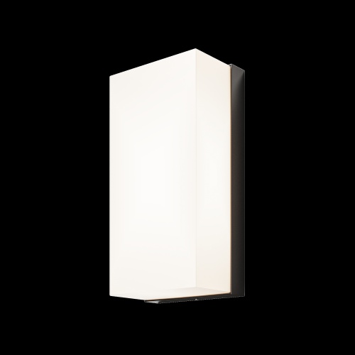 Уличный настенный светильник Outdoor O454WL-L10GF3K