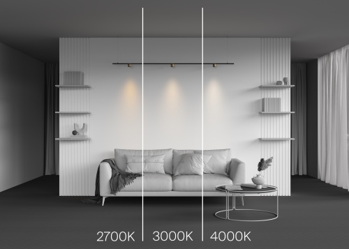 Трековый светильник Technical TR188-1-5W2.7K-M-BBS