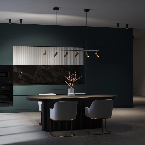 Потолочный светильник Eurosvet 20252/6 LED черный/латунь