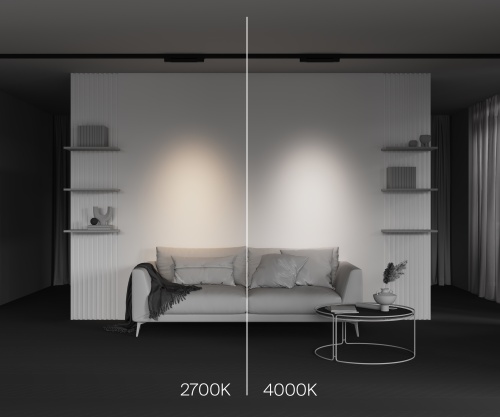 Трековый светильник Technical TR195-3-10W2.7K-M-B