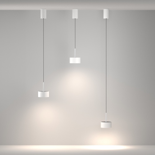 Подвесной светильник Maytoni P102PL-12W4K-W