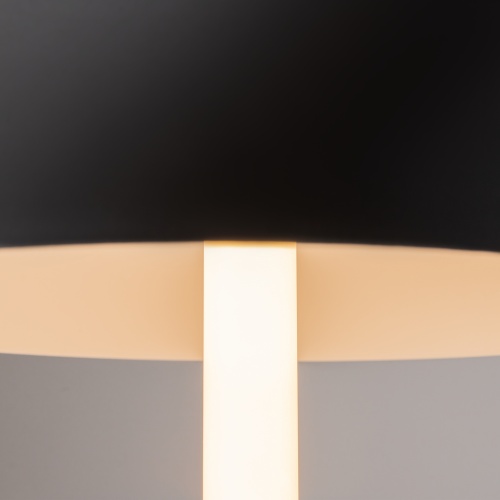 Настольный светильник Maytoni Z012TL-L8B3K