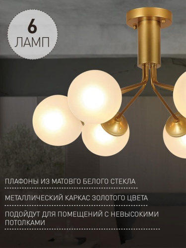 Потолочная люстра 2631-6U