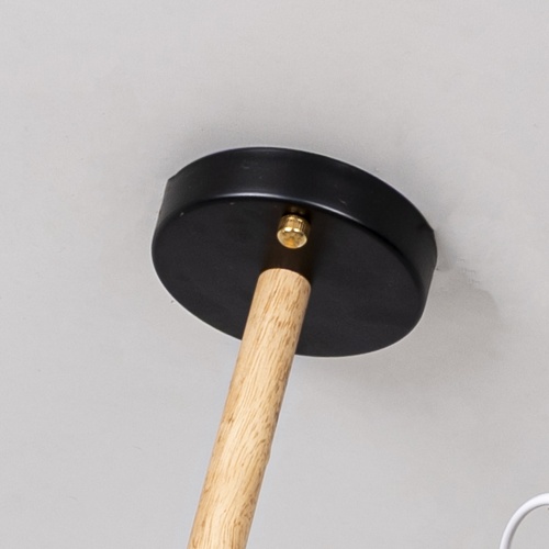 Люстра на штанге NATURA B6 Black 178084-26