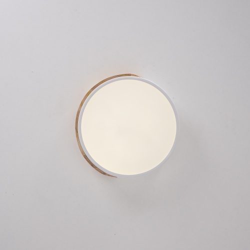 Потолочный светильник CLIP White D30 101446-26