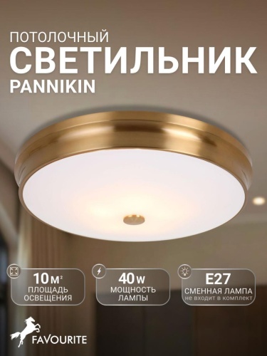Потолочный светильник 2375-5C