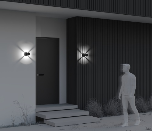 Уличный настенный светильник Outdoor O458WL-L9GF3K