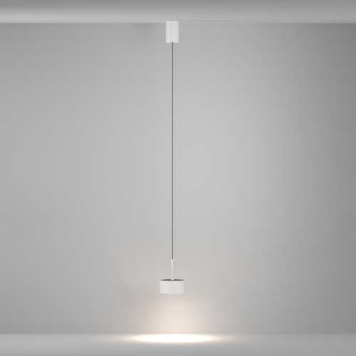 Подвесной светильник Maytoni P102PL-12W4K-W