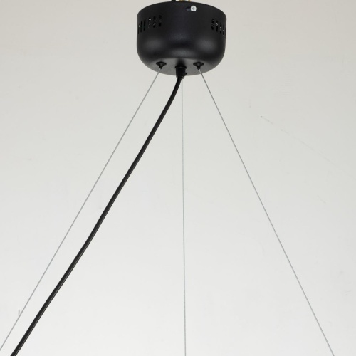 Подвесная люстра Favourite 2997-6P, подвесная люстра, D650xH290/1220, 12xGU10LEDx5W, excluded