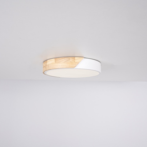 Потолочный светильник CLIP White D30 101446-26