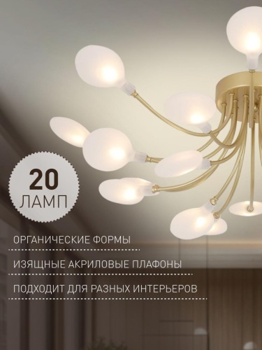 Потолочная люстра 4197-20C