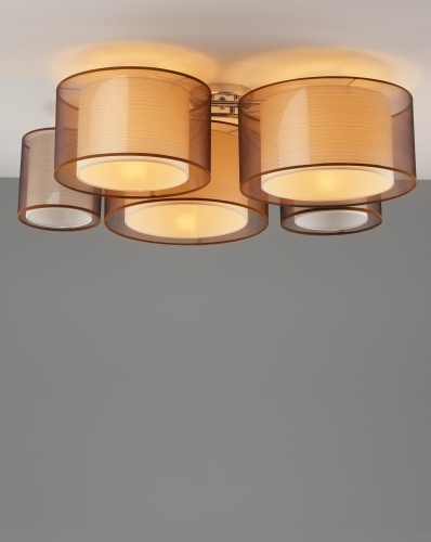 Светильник потолочный Moderli V10624-5C Room