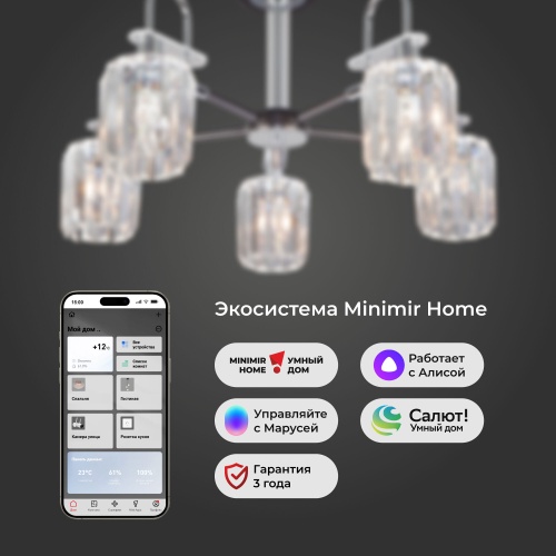 Потолочный светильник Eurosvet 70090/5 графит Smart
