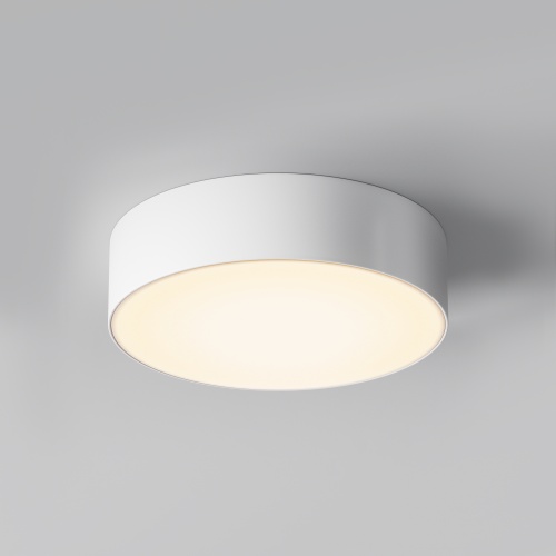 Уличный потолочный светильник Outdoor O431CL-L30W3K