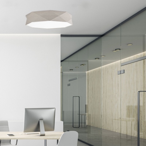Потолочный светильник TK Lighting 6196 Kantoor