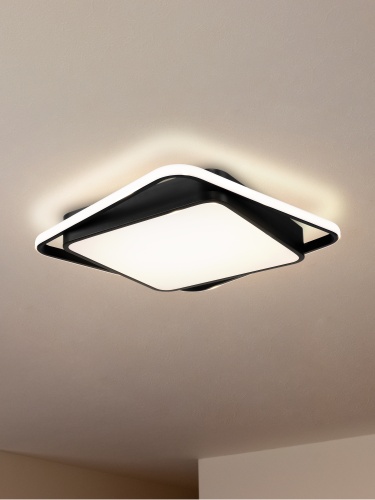 Потолочный светильник Freya FR10030CL-L88B