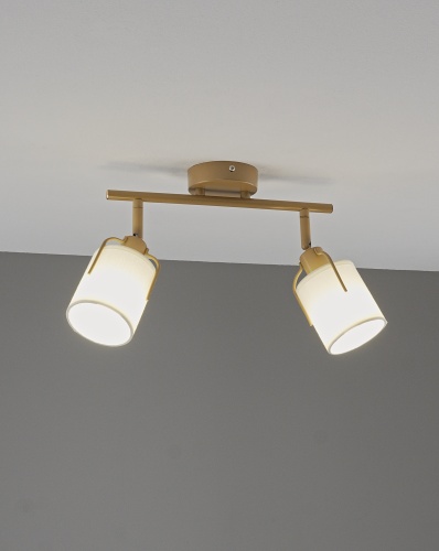 Спот Moderli V11854-2C Inari