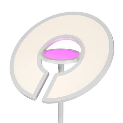 CL810030 LOONG RGB Белый Торшер