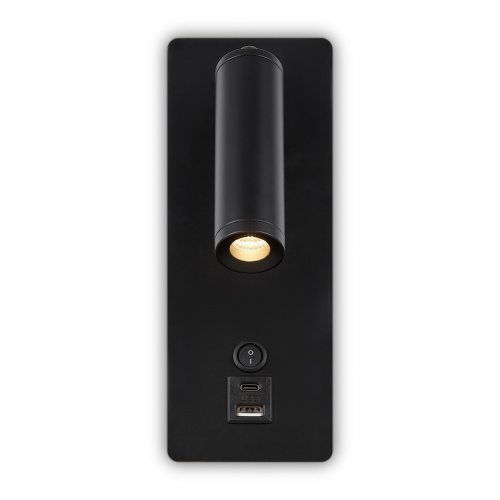 Настенный светильник (бра) Freya FR5341WL-L3B