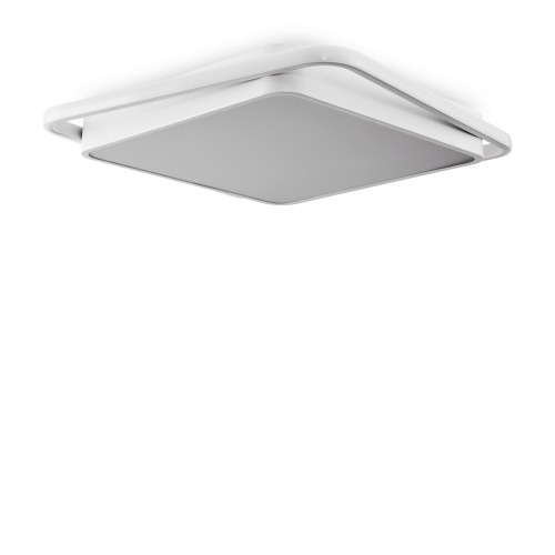 Потолочный светильник Freya FR10030CL-L88W