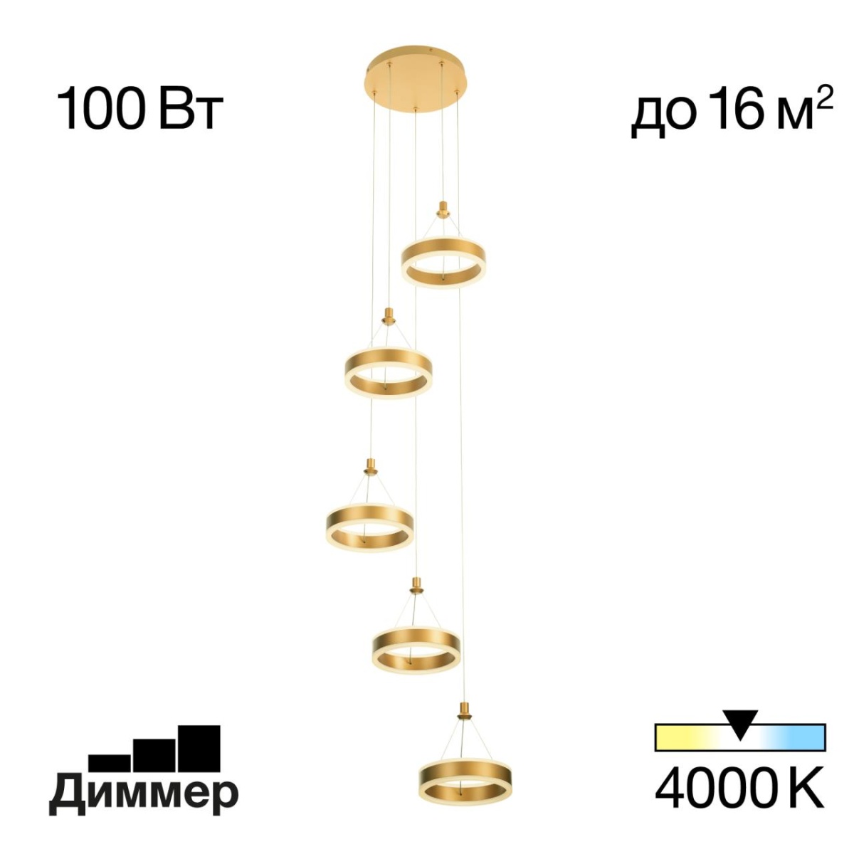 card-img