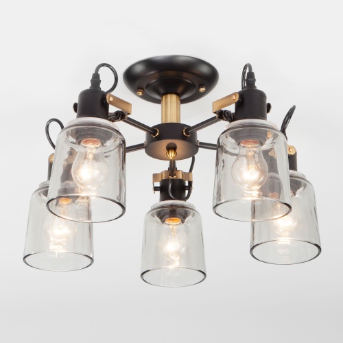 Потолочный светильник Eurosvet 70111/5 черный