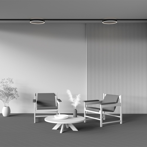 Трековый светильник Technical TR227-2-24W4K-B