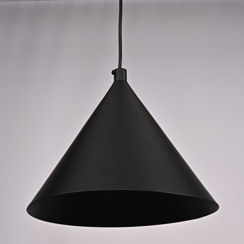 Подвесной Светильник Roundew D29 Black от Imperiumloft 302464-26