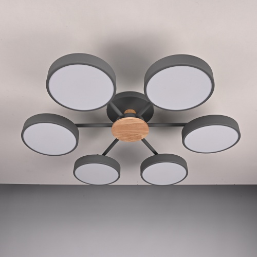 Потолочная люстра MOVE 6 Gray 178253-26