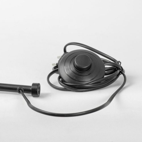 Торшер Lussole SY3660