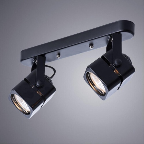 Arte lamp A1315PL-2BK СВЕТИЛЬНИК ПОТОЛОЧНЫЙ