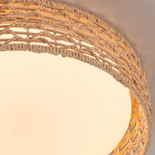 Потолочный светильник F-Promo 4749-4C, Потолочный светильник, D430xH100, LEDx25W, 1300LM, 3000/4000/6000K, included, remote control