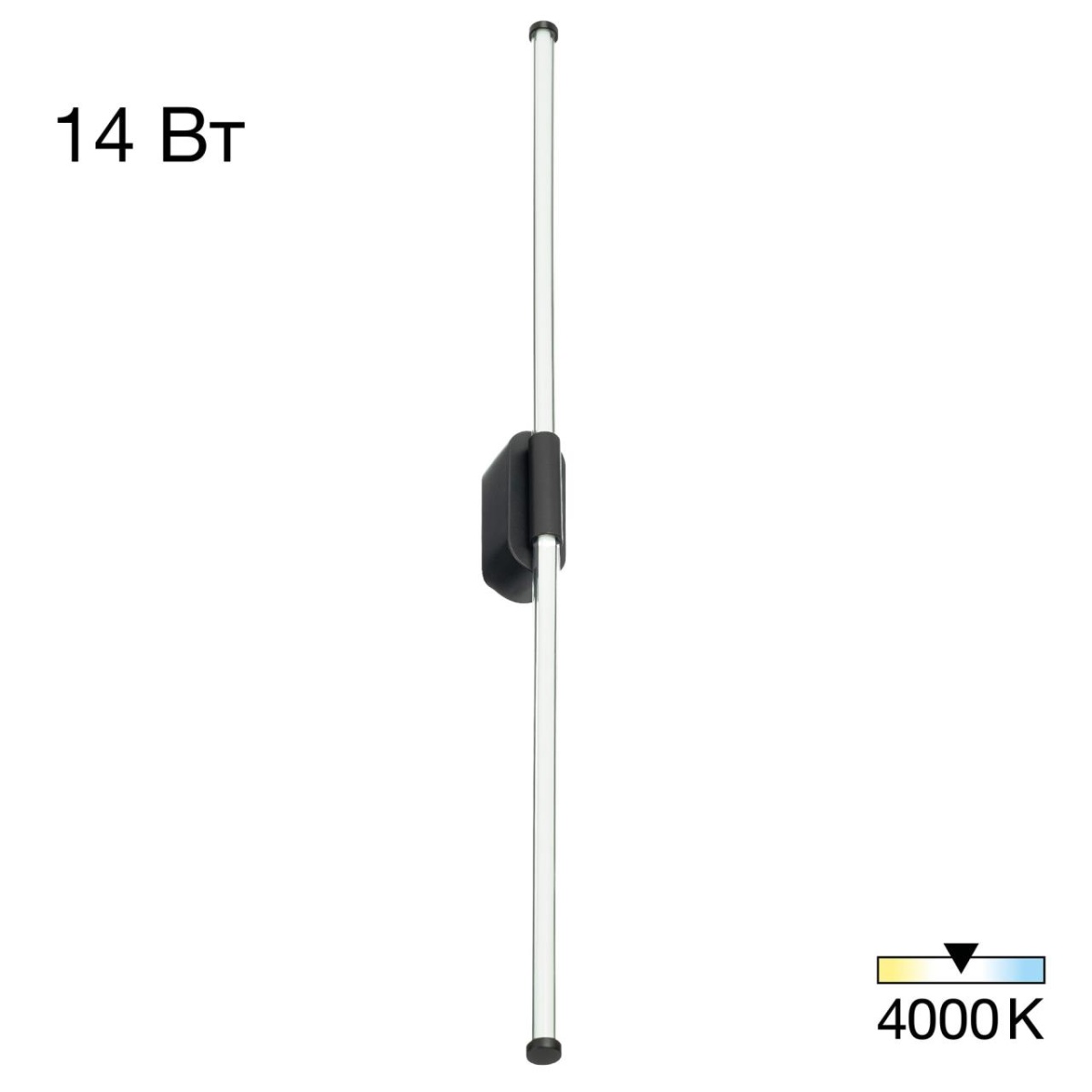 card-img