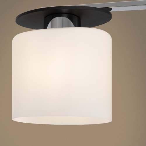 Потолочный светильник Freya FR5101-CL-03-CN