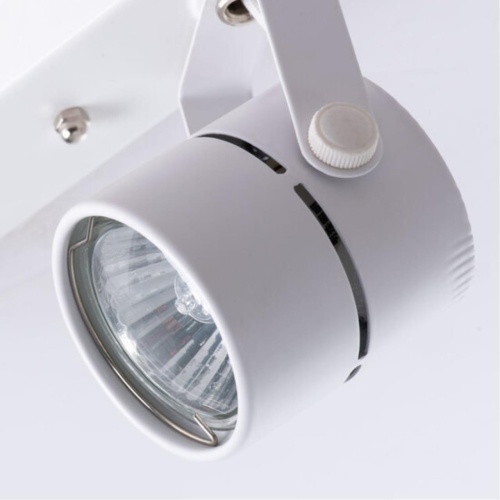 Arte lamp A1311PL-2WH СВЕТИЛЬНИК ПОТОЛОЧНЫЙ