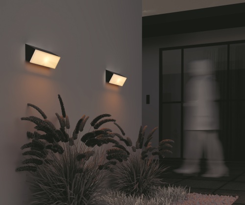 Уличный настенный светильник Outdoor O436WL-L20GF3K