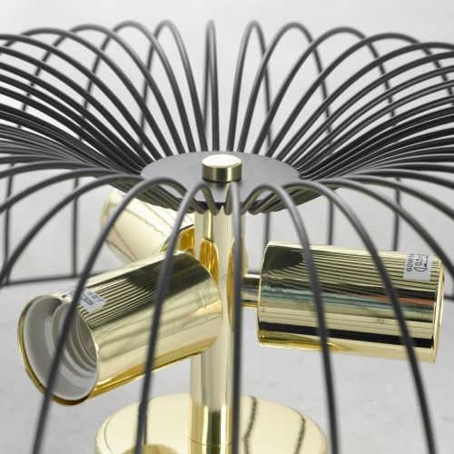 Потолочный светильник Lussole GRLSP-8251