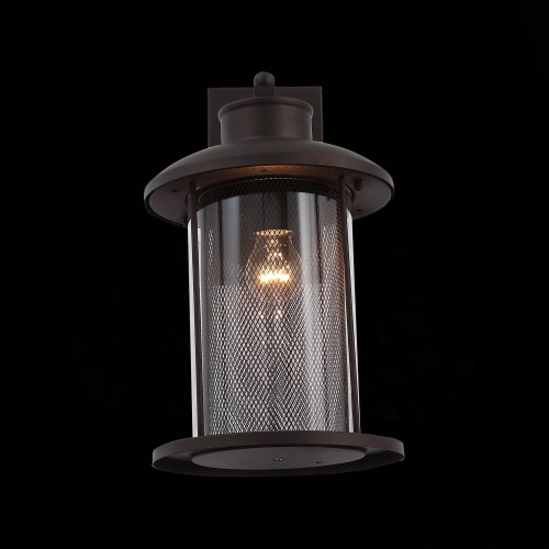 SL080.401.01 Светильник уличный настенный ST-Luce Темный кофе/Прозрачный, Темный кофе E27 1*60W LASTERO