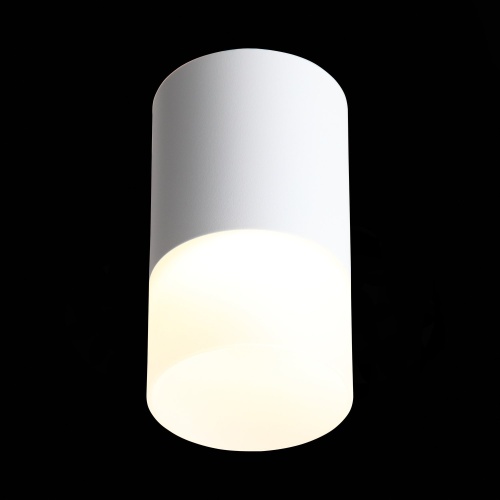 ST100.502.05 Светильник потолочный Белый LED 1*5W 3000K 390Lm Ra&gt;80 120° D64xH110 170-240V Накладные светильники
