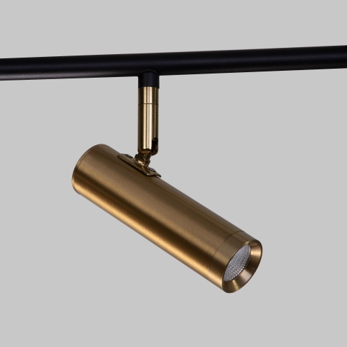 Потолочный светильник Eurosvet 20252/6 LED черный/латунь