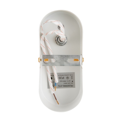 Настенный светильник (бра) Freya FR2009WL-01G