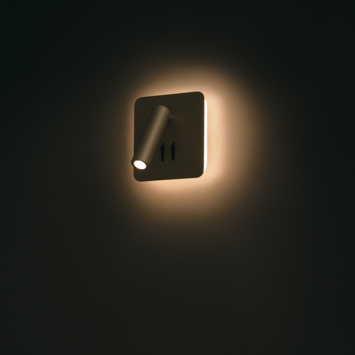 card-img