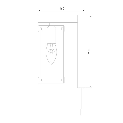 Настенный светильник Eurosvet 60116/1 черный