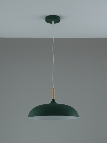 Светильник подвесной Moderli V11804-1P Hygo