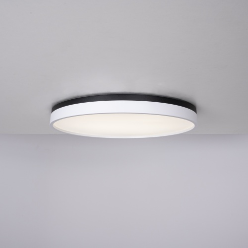 Потолочный светильник KIER D60 White 181019-26