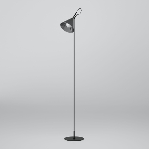 Напольный светильник Eurosvet 01187/1 черный